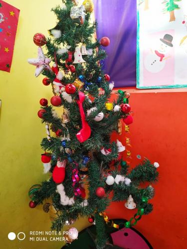 81279557_1749845221817613_1144315747355328512_n